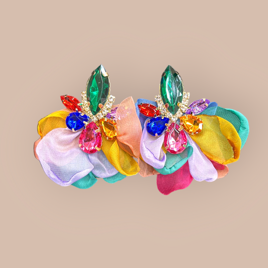 Fashion Earrings