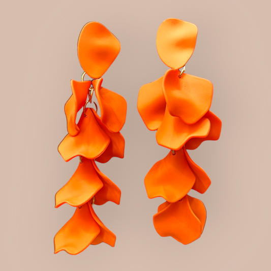 Fashion Earrings