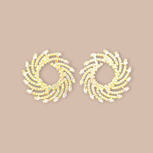 Fashion Earrings