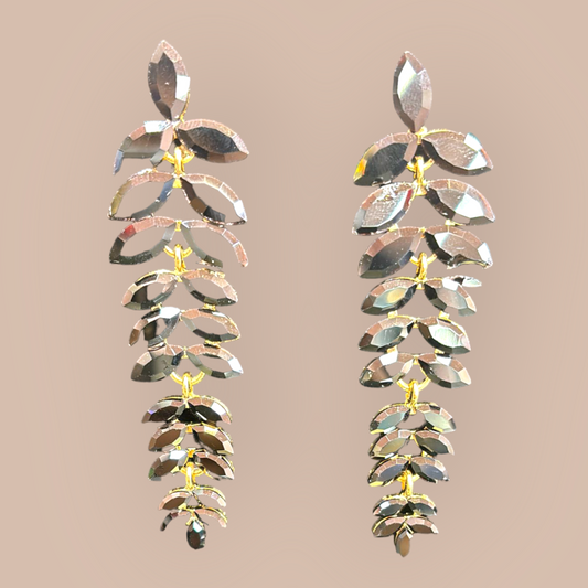 Fashion Earrings